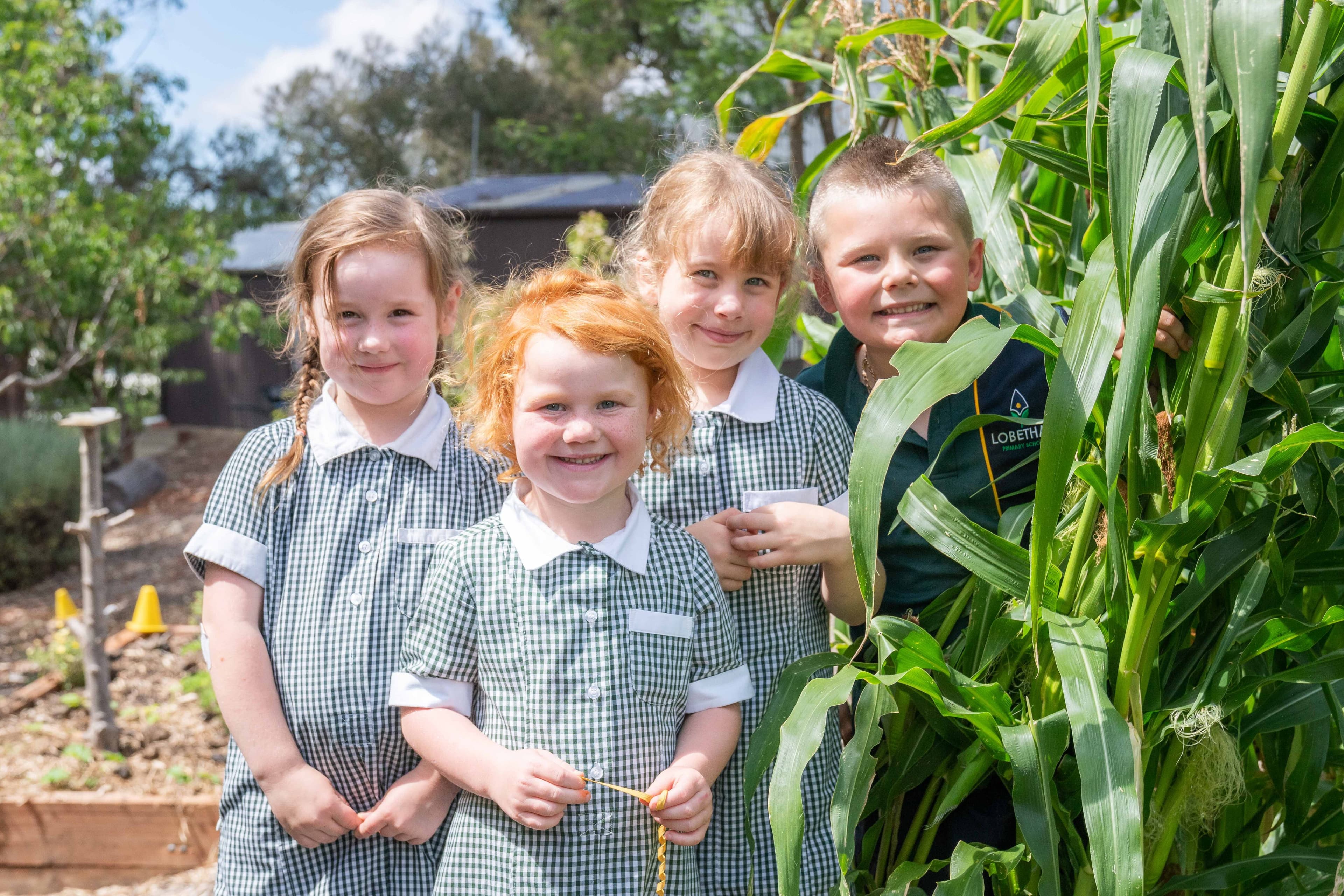 Lobethal Pre-School - Image 4