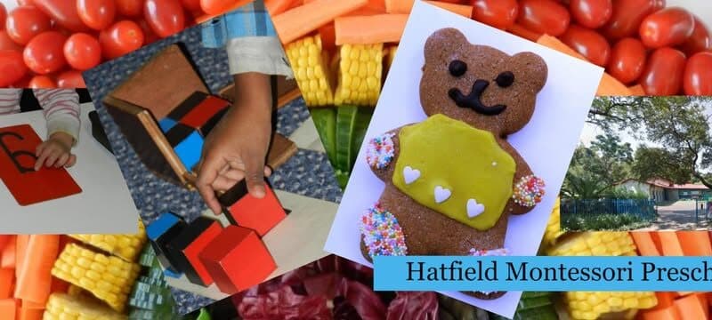Hatfield Montessori Pre-School