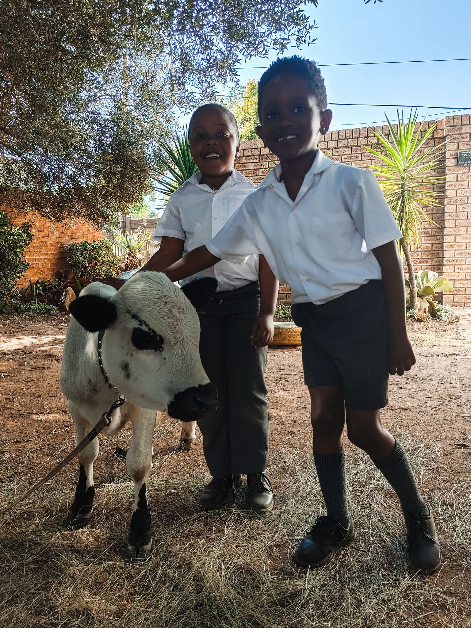 Destiny Independent School Kempton Park: Primary School