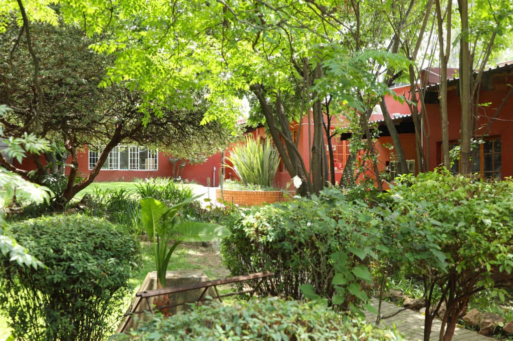 Buccleuch Montessori School (Primary) - Image 3
