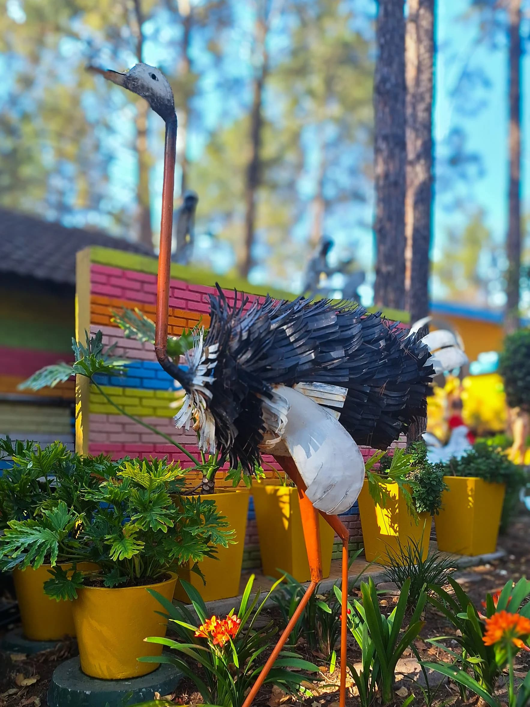 Pine Forest Pre-Primary - Image 6